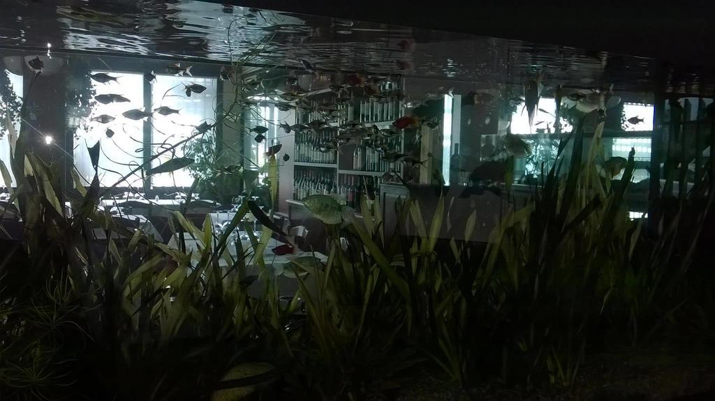 米兰 两只小熊旅馆酒店 客房 照片